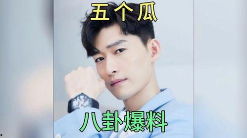 娱乐明星吃瓜爆料小说,明星吃瓜爆料，揭秘幕后真相