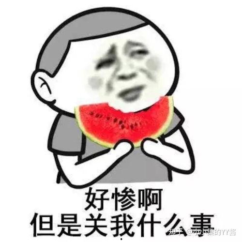 娱乐吃瓜君吐槽二豆,二豆事件真相揭秘