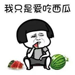 专业娱乐吃瓜圈,那些你不知道的幕后故事与八卦风云