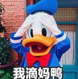 娱乐吃瓜君鸭,揭秘娱乐圈那些不为人知的幕后故事
