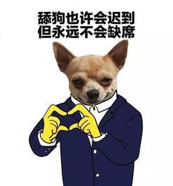 娱乐吃瓜君小狗,揭秘娱乐圈那些不为人知的幕后故事