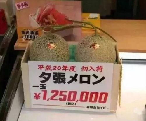 娱乐吃瓜群众一名,吃瓜群众视角下的明星幕后故事