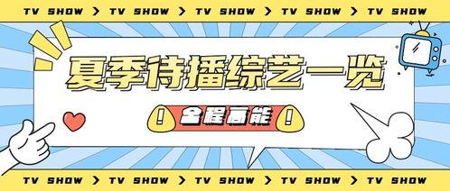 吃瓜娱乐大众,娱乐圈那些事儿