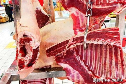 不舍昼夜吃瓜娱乐,揭秘不舍昼夜的娱乐盛宴