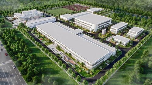 吃瓜影视娱乐有哪些项目,多元化项目打造娱乐新天地