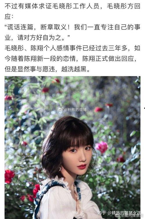 娱乐圈大瓜在哪吃,揭秘独家爆料，揭秘明星幕后故事