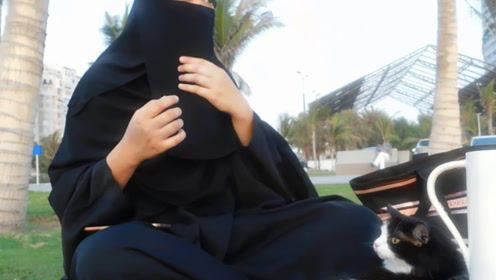 娱乐吃瓜君的原创,吃瓜君带你领略幕后风云