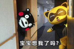 娱乐吃瓜酱熊,揭秘娱乐圈那些不为人知的幕后故事