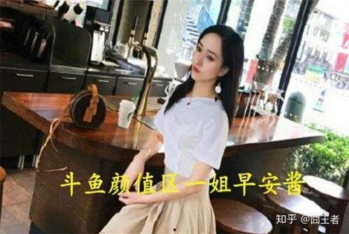 娱乐吃瓜酱摆烂人生