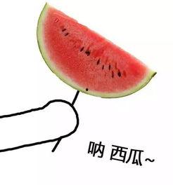 娱乐吃瓜酱做核酸,共筑健康防线