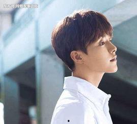 娱乐吃瓜君马天宇,娱乐圈的“吃瓜”达人，揭秘明星幕后故事