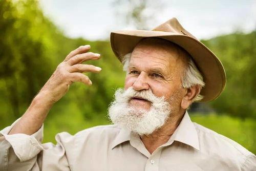 娱乐吃瓜酱老人