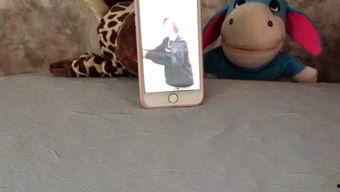 娱乐吃瓜Jerry,Jerry带你领略娱乐圈的趣味瞬间