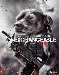 娱乐吃瓜汪星人是谁,网络红星的崛起之路